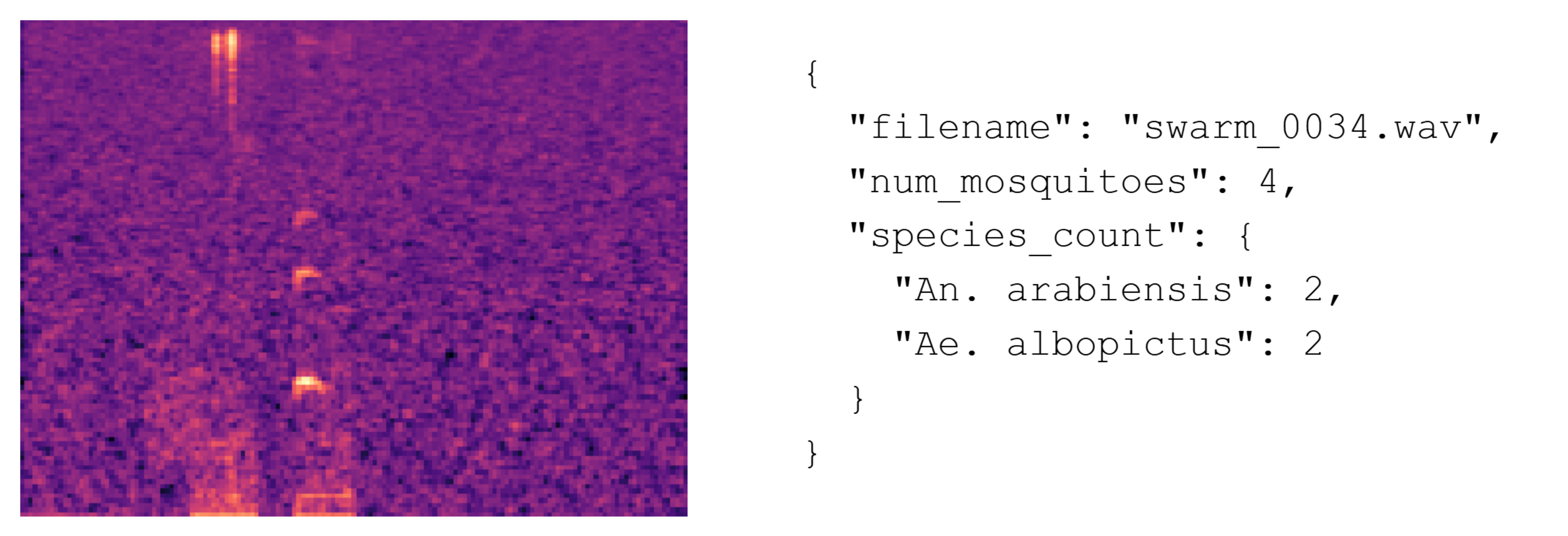 Example input with corresponding species label metadata